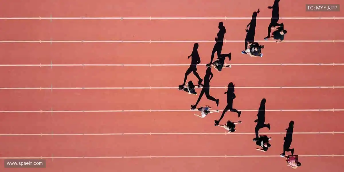 🏆 见证每一刻荣耀，体育赛事官网，让热爱永不缺席！